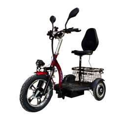 Електрическа триколка със задно предаване TS200 1200
