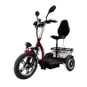 Електрическа триколка със задно предаване TS200 1200