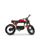 Fat bikes